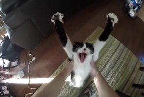 Подборка кубиков