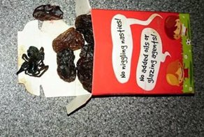 20 фотографий под кодовым названием "О нет"