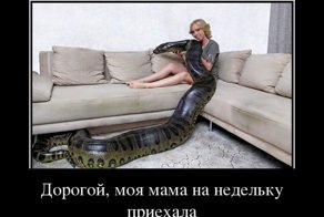 Свежая подборка демотиваторов, которые поднимут вам настроение