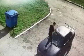 В Ульяновске малолетние хулиганы изувечили автомобиль