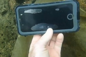 Что можно найти на дне водоема