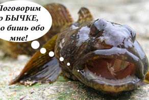 Поговорим?