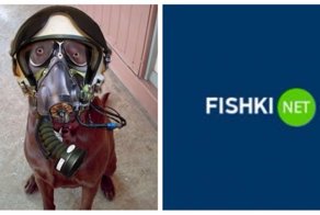 Фишкины Сообщества