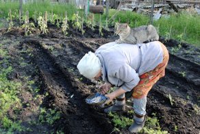 Как я провел лето. Вспомнить и прослезиться