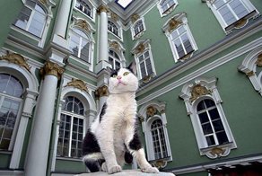 Погибли на посту!