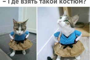 Показалось