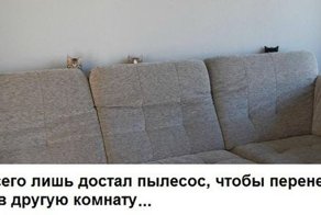 Весёлые картинки, фото, коменты