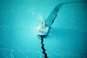 Одна из историй М.Пароходства