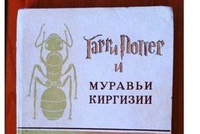 Неожиданно-сумасшедшие ситуации, к которым вас не готовила жизнь