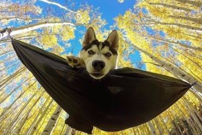 Возврат кредита