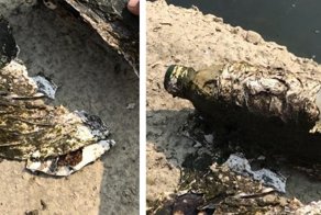 Парень заметил странную бутылку в воде