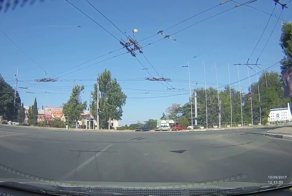 В лузу или проскакун обыкновенный