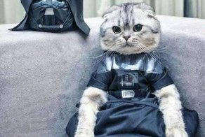 Недоступные места