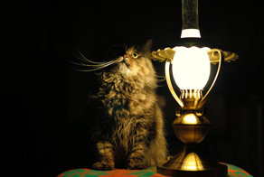 Теперь ты подожди