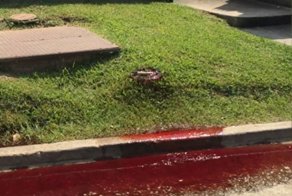 Улицу американского города залило человеческой кровью