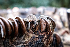 Жмотства пост: рабочие отмазки на случай, если у меня начинают просить деньги в долг