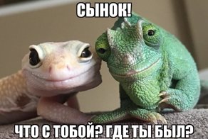 Картинки и комментарии сети