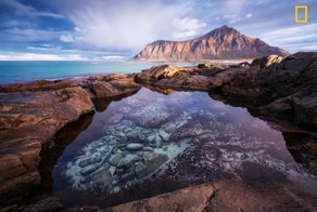 National Geographic представляет лучшие фотографии дикой природы этого года