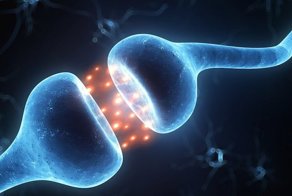 Открыт новый механизм по контролю человеческой памяти