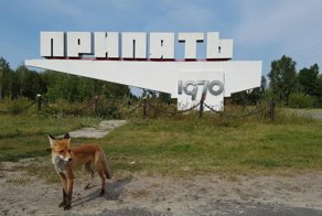 Фотоподборка за 22.09.2017