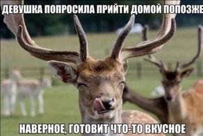 С пятницей Вас, господа и дамы!