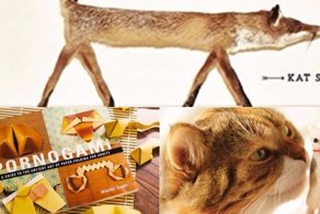 Самые нелепые книги