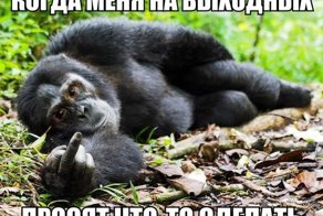 Смешные картинки с надписями