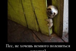 Свежая подборка демотиваторов, которые поднимут вам настроение