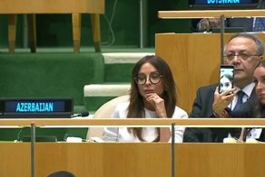 Пока президент Азербайджана говорил о Карабахе, его дочь делала забавные селфи