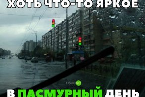 Подборка автомобильных приколов