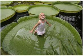 Почувствуй себя карликом!