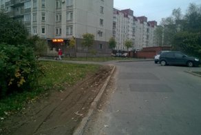 История одного газона в Санкт-Петербурге