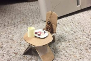 "Забота о близких" от тёщи