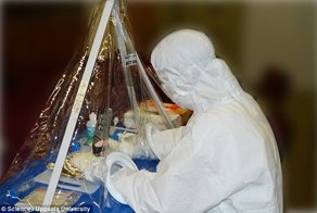 Ученые выявили: Homo sapiens появились раньше, чем считалось