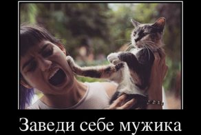 Свежая подборка демотиваторов, которые поднимут вам настроение