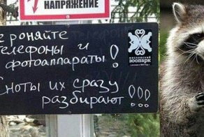 Наглость - второе счастье!