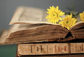 Вам будет интересно: происхождение фразеологизмов