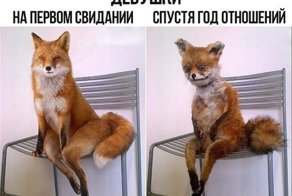 Подборка картинок с просторов интернета