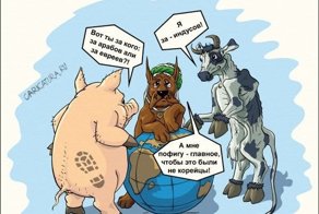 Карикатуры задорной подборочкой. Всем отличного настроения!