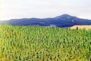 10 занимательных фактов о Казахстане