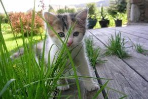 Ага, я растерялся даже сначала