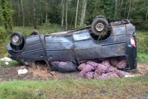 В Беларуси перевернулся микроавтобус набитый картошкой