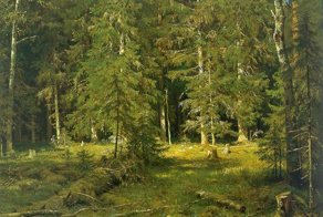 Шишкин. Еловая печаль