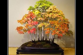 Свежая подборка демотиваторов, которые поднимут вам настроение