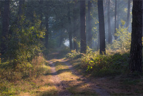 Красивые пейзажи