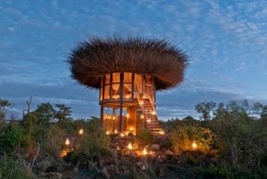 Постояльцам кенийского сафари-парка предлагают пожить в пятизвездочном птичьем гнезде