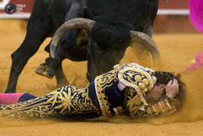 Не по правилам: когда побеждает бык