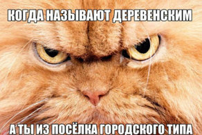 Смешные картинки с надписями