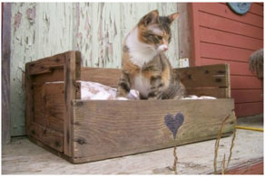 Сто раз подумайте, прежде чем выбросить старые ящики! Это просто бомба!