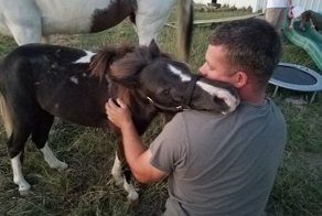 Пони, которого готовили на убой, вдруг обрёл любовь и дом